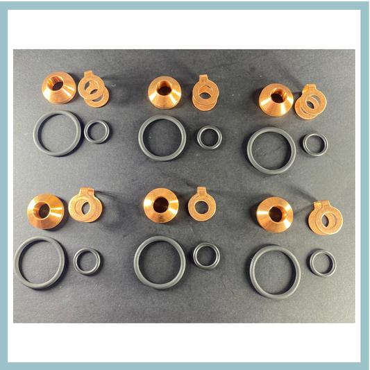 Injector Washer Kit - SAT1215615/6 - Denso Commercial CR Washers